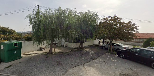 Café "Zé Bolacha" - Redondas