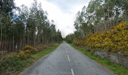Cantinho da enCosta - Casa de Pasto